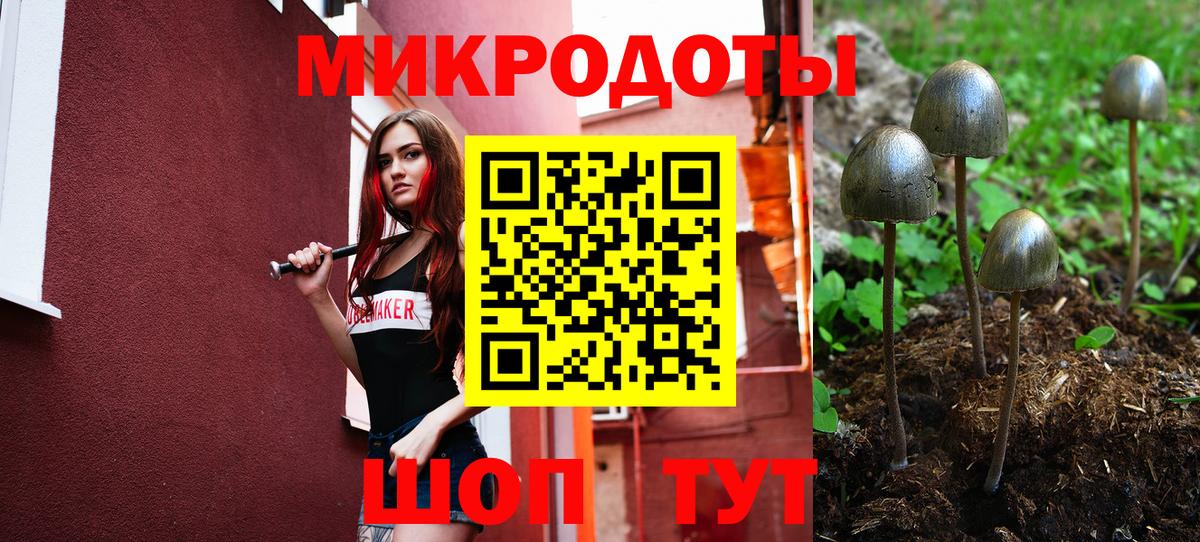 Галлюциногенные грибы MAGIC MUSHROOMS Лянтор