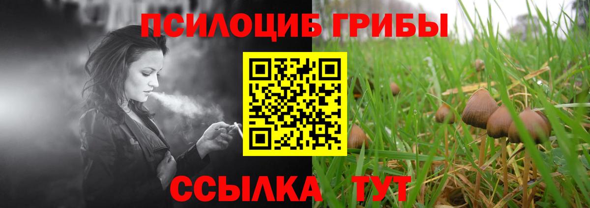 Галлюциногенные грибы GOLDEN TEACHER  Вход с VPN  Лянтор 